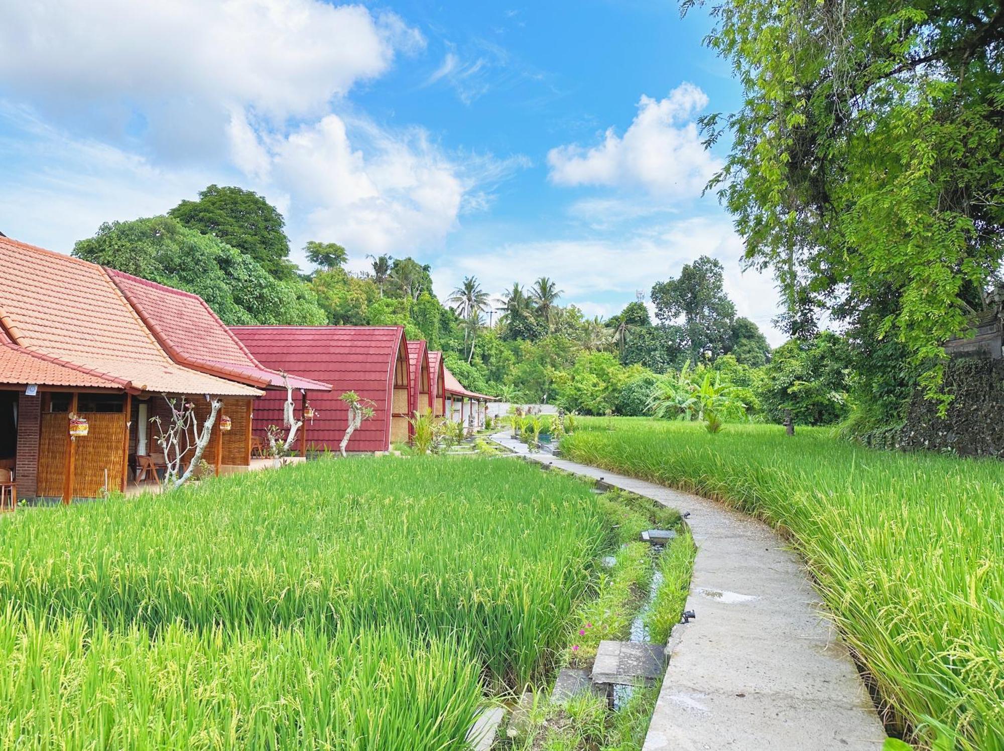 Uma Raos Cottage Ubud Buitenkant foto